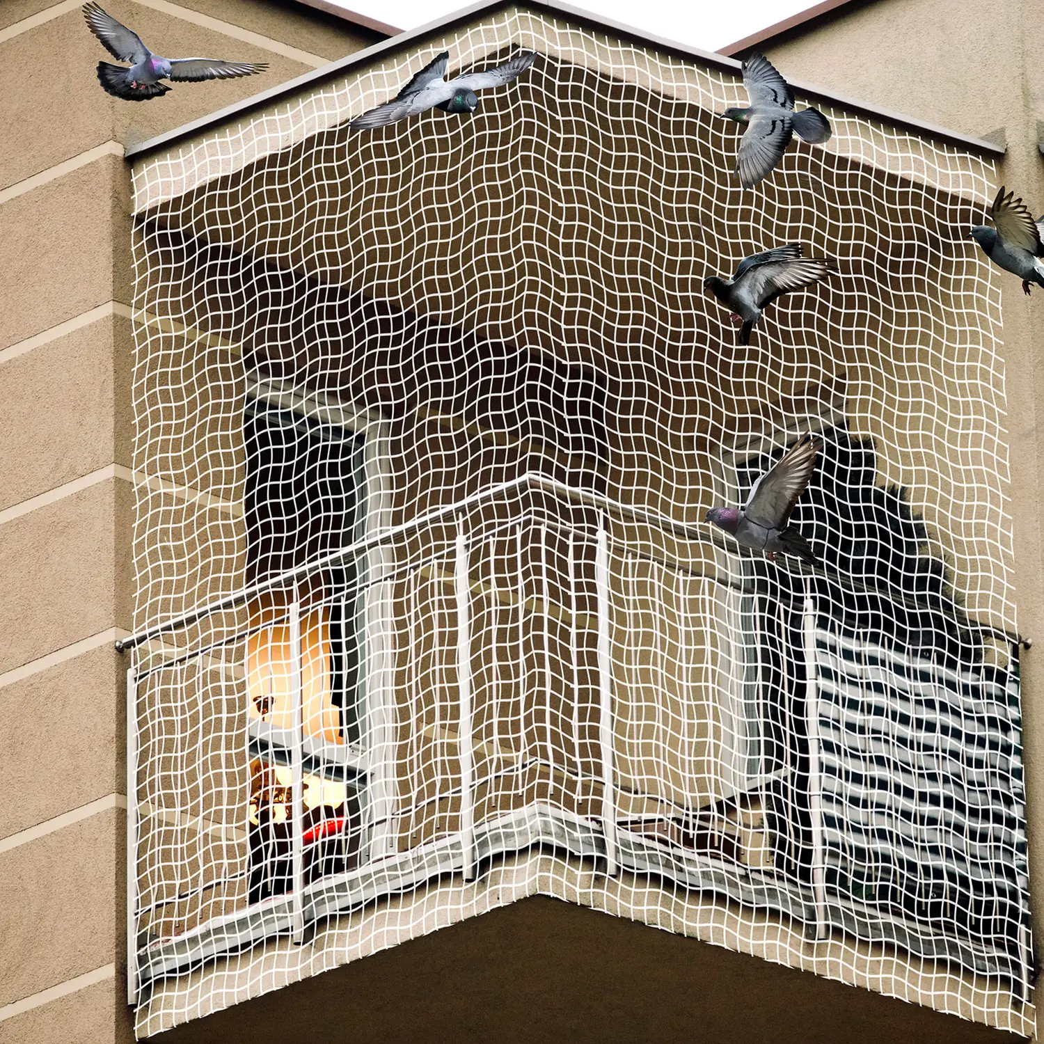 Anti Pigeon Nets